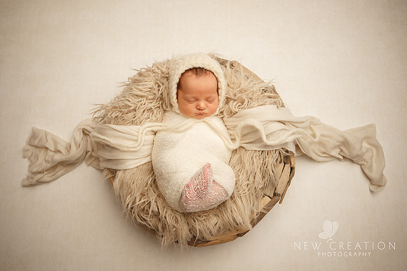 Debronsky Tiffin Iowa Newborn Photographer 8916