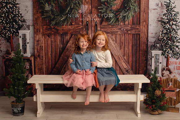 Fine Cedar Rapids Christmas Mini Photographer 8520