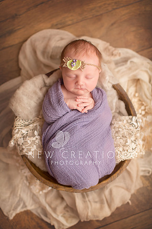 Hotka-Cedar-Rapids-Newborn-Photography-4078