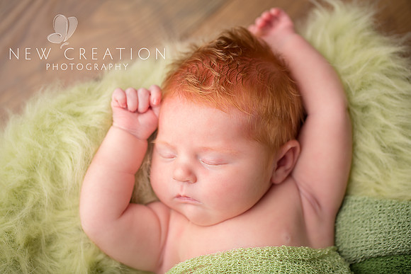 Geistkemper-Marion-Newborn-Baby-Photography-1291