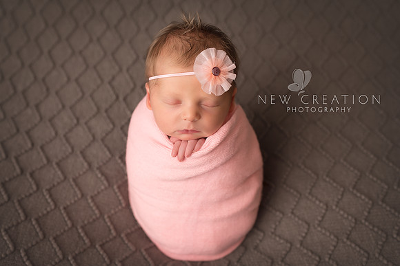Grendler Cedar Rapids Newborn Photographer 0298