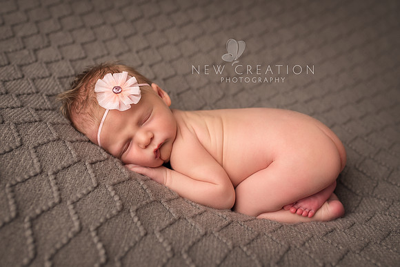Grendler Cedar Rapids Newborn Photography 0328