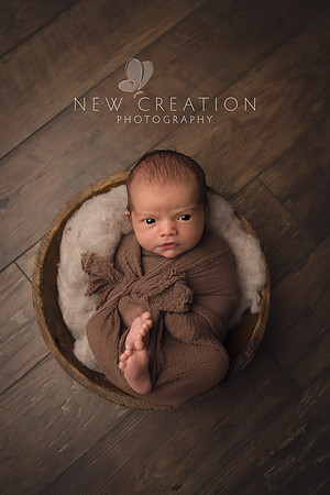 Johnson Cedar Rapids Newborn Photography 4122b