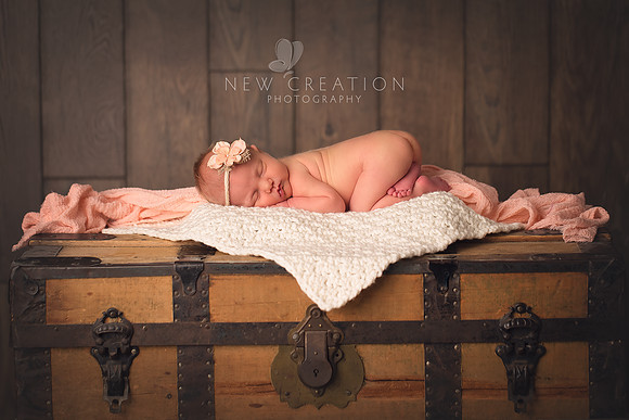 Riedesel Marion Iowa Newborn Photographer 7723