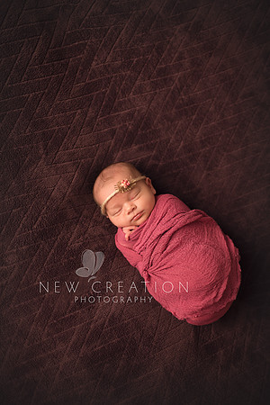 Sampica Cedar Rapids Newborn Photography 3469