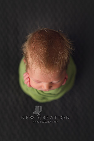 Swyers Cedar Rapids Newborn Photography 2159