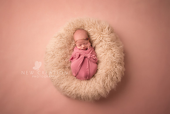 Austin Shueyville Newborn Photographer 3715