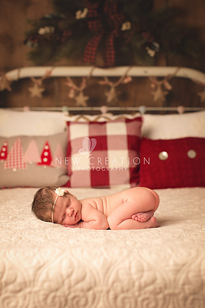 Allen Cedar Rapids Newborn Photographer 7992