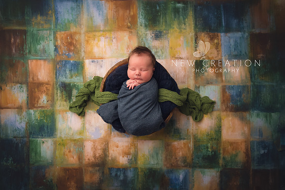 Clark Cedar Rapids Newborn Photographer 9100