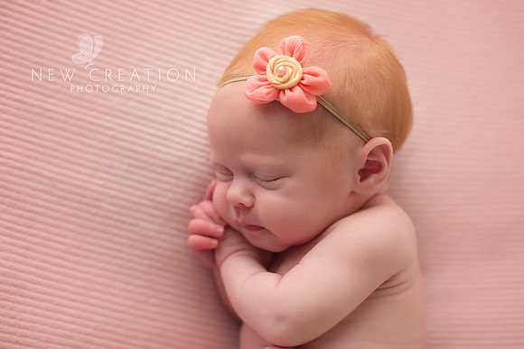 Fine Cedar Rapids Newborn Photography 4502