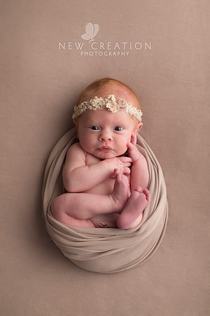 Fine Cedar Rapids Newborn Pictures 4532