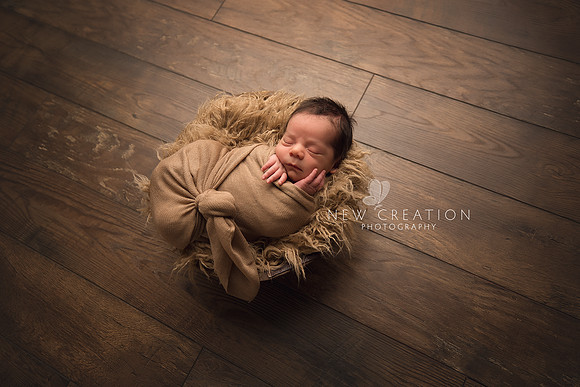 Palmer Cedar Rapids Newborn Photography 5148