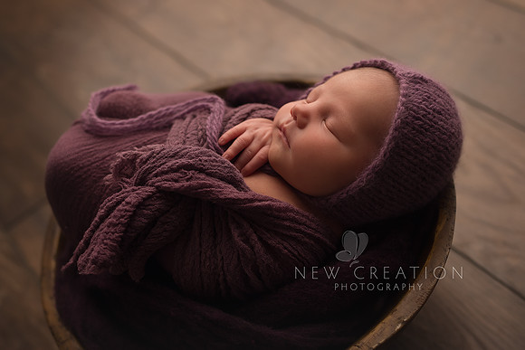 Steffens Cedar Rapids Newborn Photographer 8195