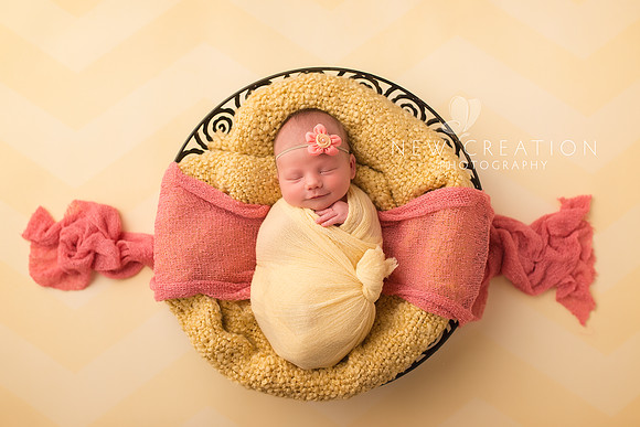 Steffens Cedar Rapids Newborn Photography 8257