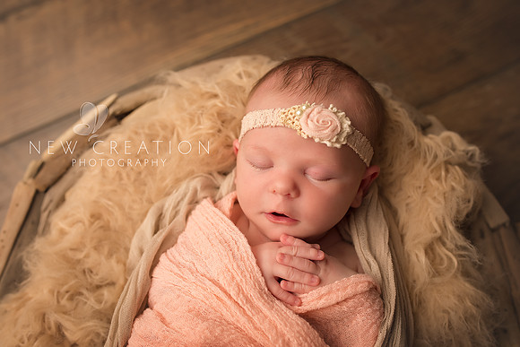 Vennie Hiawatha Newborn Photographer 3982