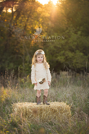 Johnson Cedar Rapids Kid Photographer 9744