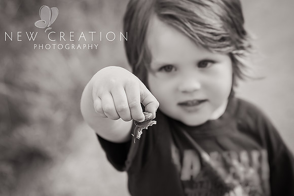 Crist-Cedar-Rapids-Mini-sessions-7925