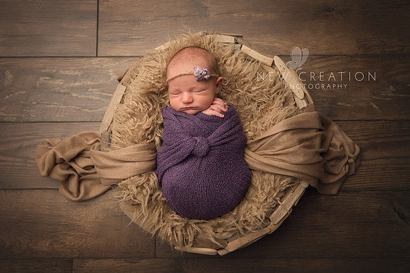 Cigrand Cedar Rapids Newborn Photographer 3540