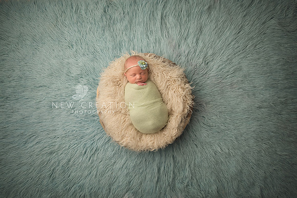 Dodd Cedar Rapids Newborn Sessions 5941