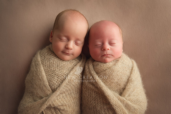 Barnes Marion Newborn Photographer 1486